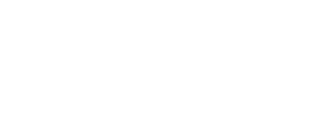 icon-white.png