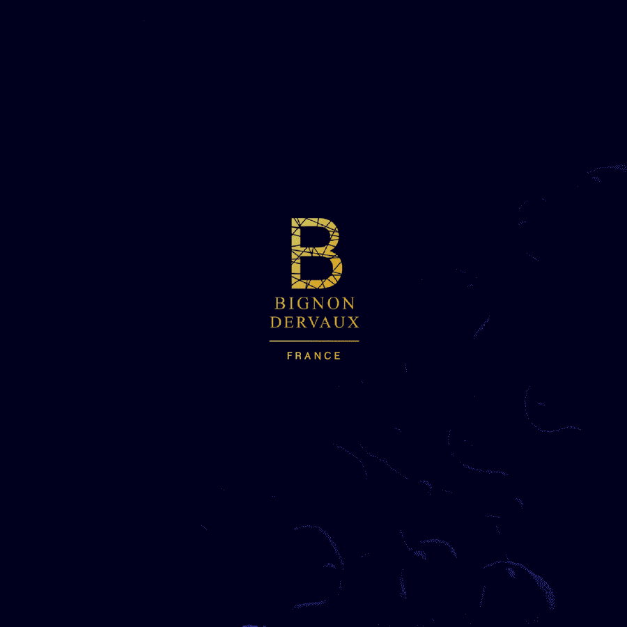 Voeux Bignon Dervaux 2019