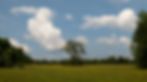 P1281248-2_edited.jpg