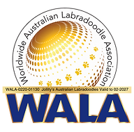 Jollity's Australian Labradoodles Badge.png