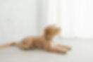 20 - andrea williner photography-45_edit