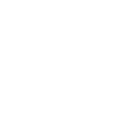 Australian, Labradoodles, Schweiz, Europa, Zucht, Welpen, Nichthaarende Hunde, Cobberdogs, Familienhunde, Langhaarhunde, Therapiehunde