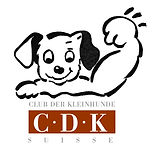 cdk.jpg