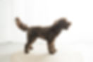 20 - andrea williner photography-45_edit