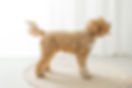 20 - andrea williner photography-45_edit