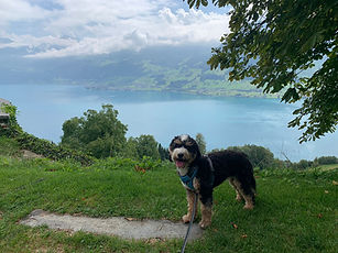 20 - andrea williner photography-45_edit