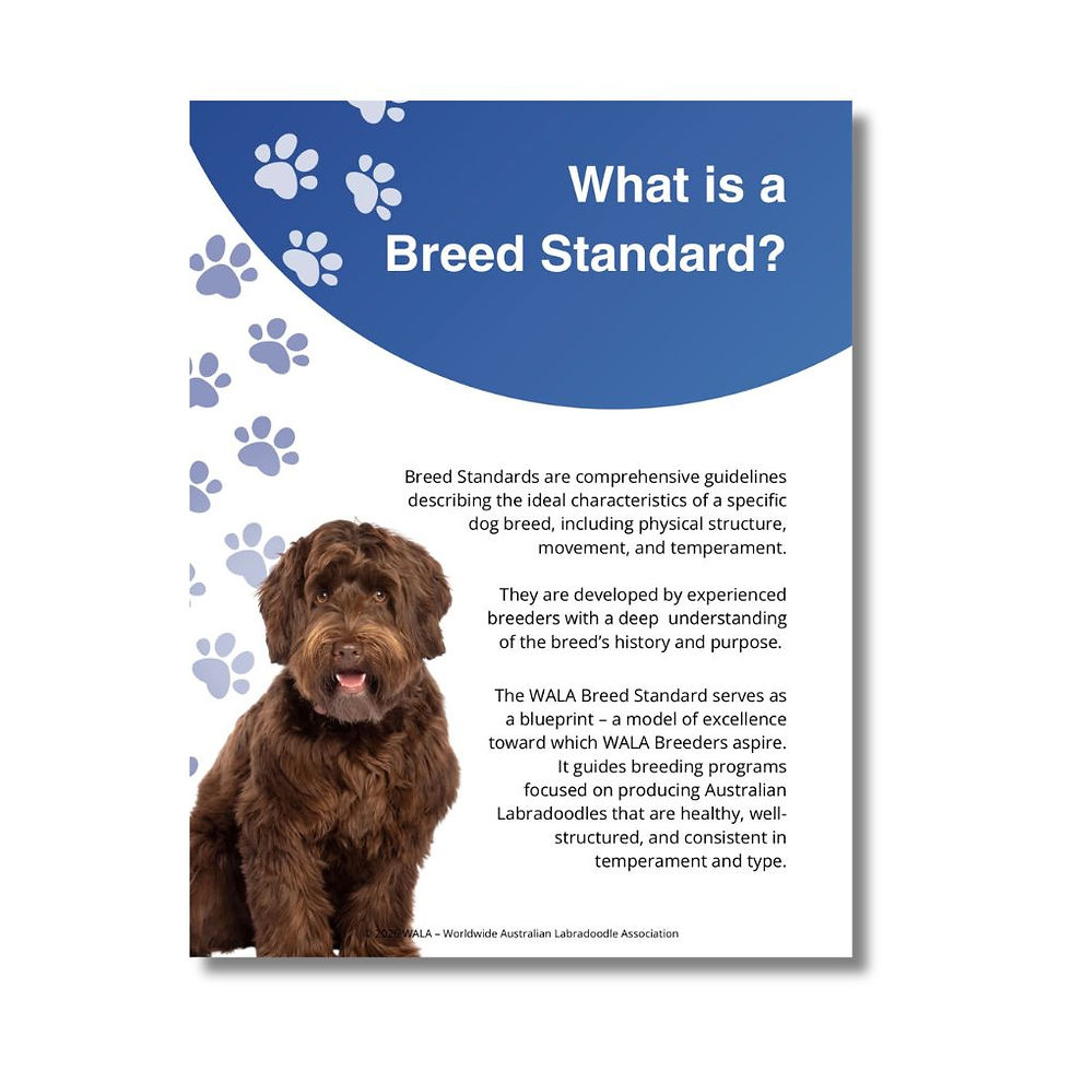 Thumbnail: WALA Breed Standard Guide