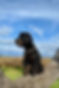 20 - andrea williner photography-45_edit