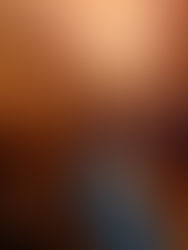 My Favorite Dinner Experience at Magic Kingdom