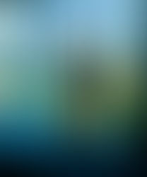 Half of my Heart is in Cabana Bay