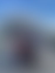 The Top 5 Things You Need to Know About the New TRON Ride at Magic Kingdom