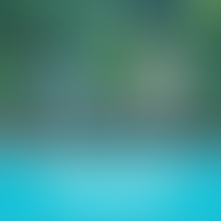 Exploring the Enchanting Charms of Asheville, North Carolina