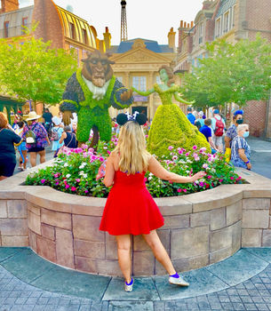 I'm Going to Disney World: My Top 11 Tips Part 1