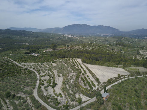 DJI_0118.JPG