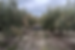 003.png