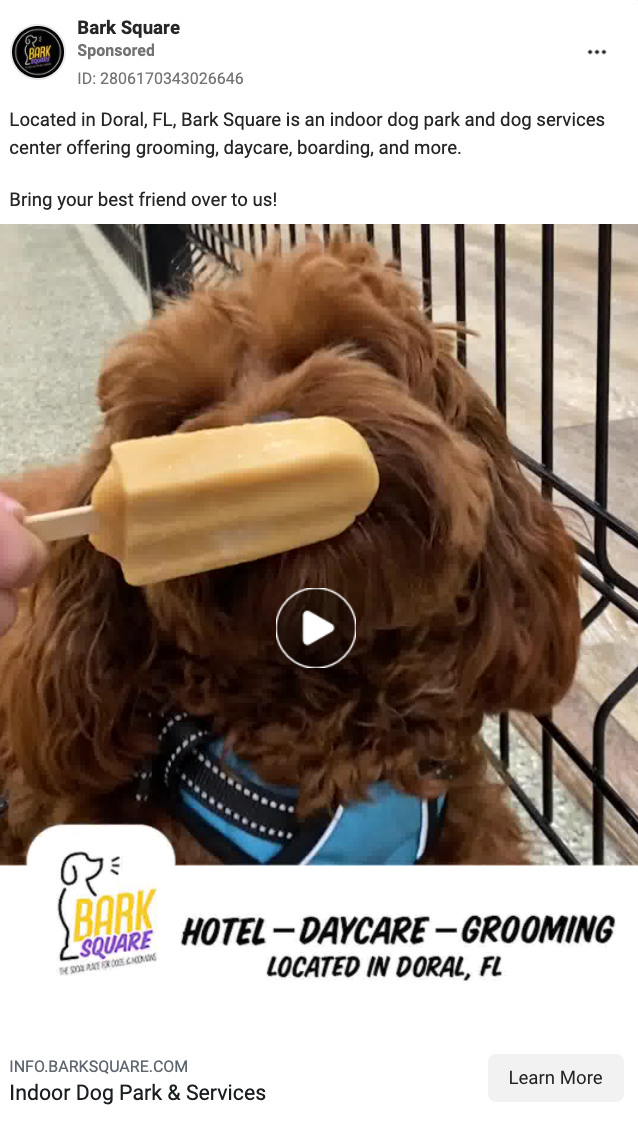 facebook ads for dog daycare