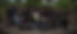 1 team pic_edited.jpg