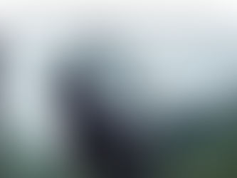 Ask A Question.. I Dare You.