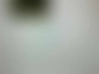 A 3 page paper writing about a artwork made by frida kahlo