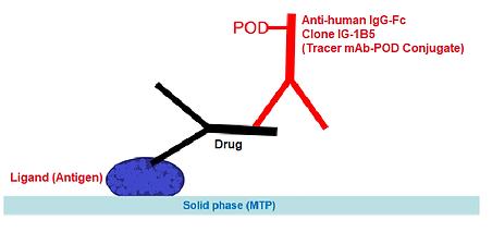 Immunoassay 