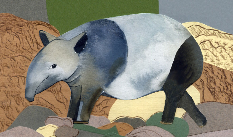Tapir ilustración - Illustration