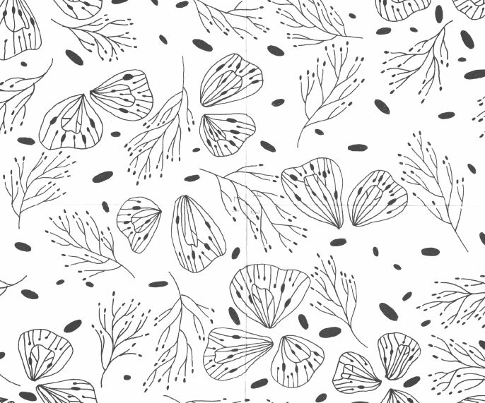 Rapport Mariposas