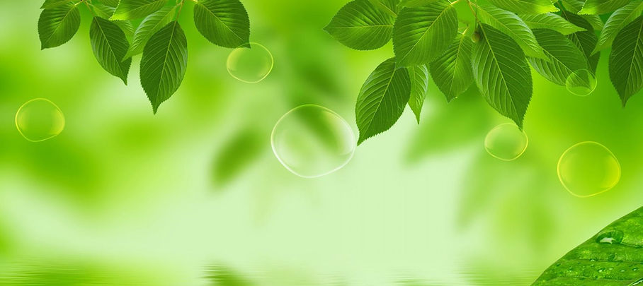 About-Page-BG-1.jpg