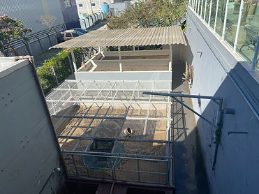 IMG_0040.JPEG