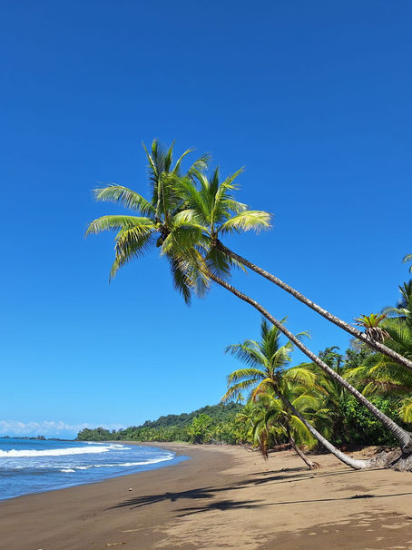 Be safe: Tips voor tropische surfbestemmingen en veiligheid 