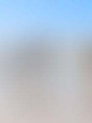 De jungle, een surfkamp en een uitnodiging 