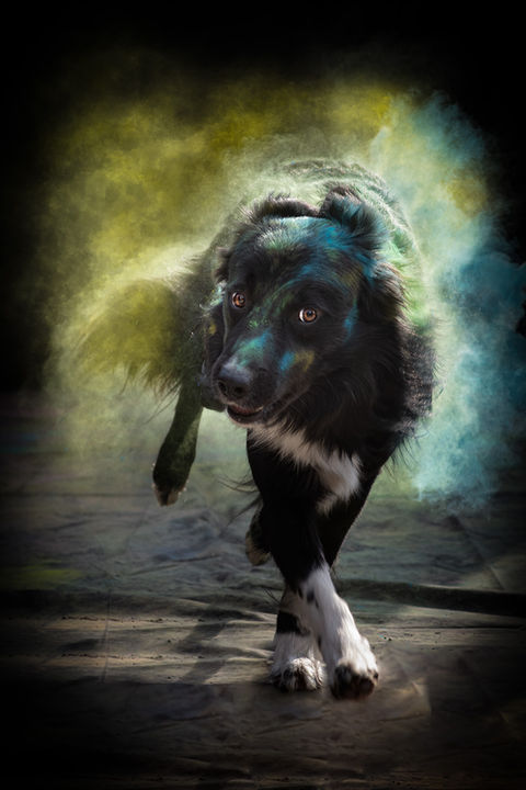 Holi-Shooting, Matti