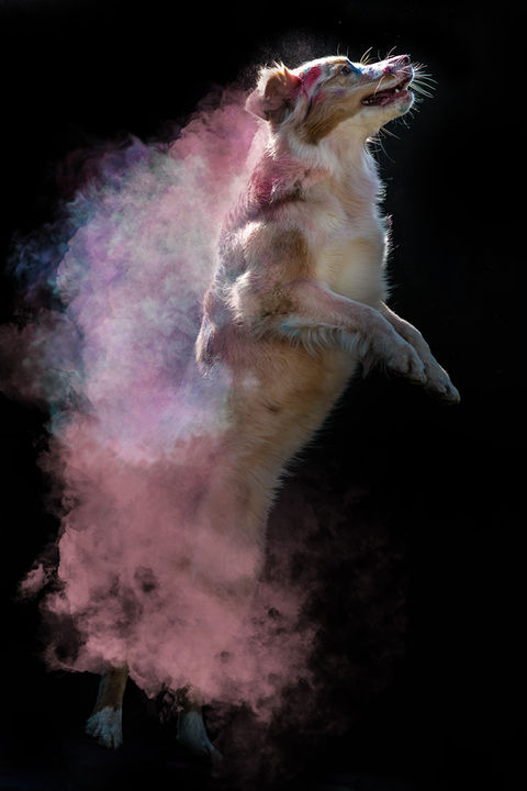 Holi-Shooting, Mocca