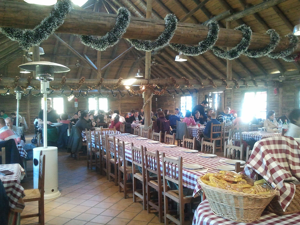 2012-01-08 15.16.26.jpg