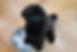 image000000.jpg