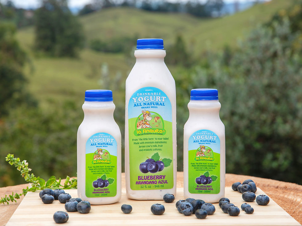 Yogurt Blueberry | La Finquita us