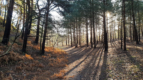 20210112_103736.jpg