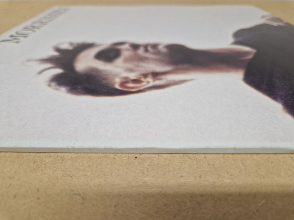 Thumbnail: Morrissey – Sing Your Life