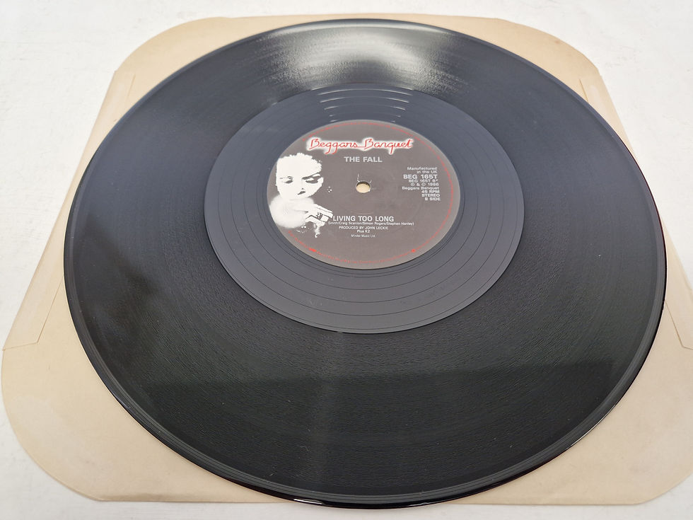 Thumbnail: The Fall – Living Too Late