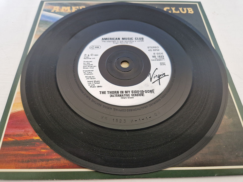 Thumbnail: American Music Club – Can You Help Me