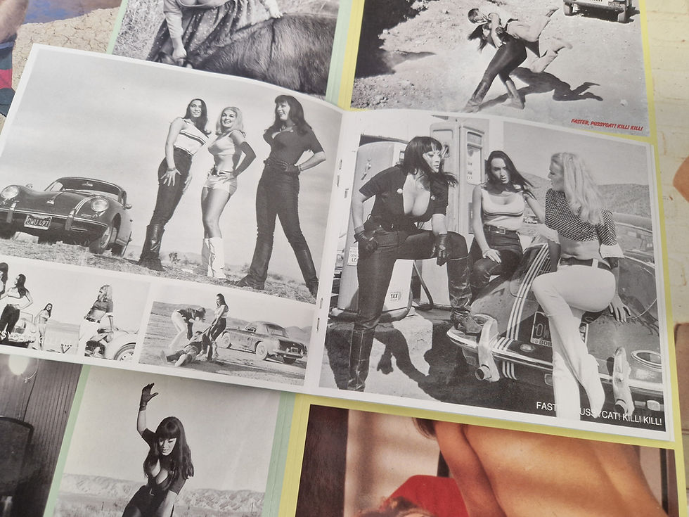 Thumbnail: Russ Meyer's Lorna / Vixen. / Faster, Pussycat! Kill! Kill!