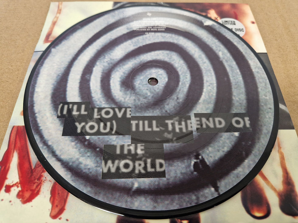 Thumbnail: Nick Cave And The Bad Seeds – Loverman