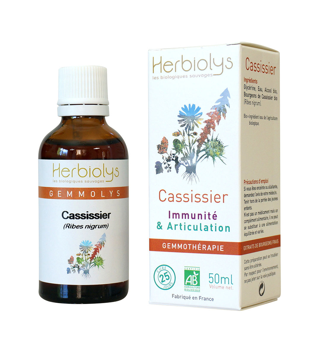 シングルジェモエッセンス　　　　　　　　【カシス】　　　　　　　　　　オールマイティ　ストレスに負けない