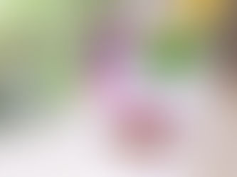 おすすめミルクソフトサンデーが登場!
