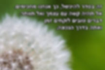 170 | השראה | פורטל חשיבה חיובית | חשיבה חיובית | מחשבה מייצרת מציאות | משפטי השראה | ציטוטים מעוררי השראה | 100 ציטוטים | מאמן | אימון אישי | מאמן אישי | מאמן אישי בפתח תקווה | אימון אישי בפתח תקווה | קואצ'ר | קואצ'ר בפתח תקווה | אימון להגשמה עצמית | אימון להצלחה | אימון לאהבה עצמית | אימון לשיפור ביטחון