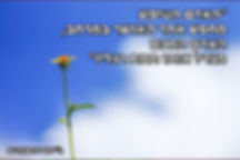 13 | אושר | פורטל חשיבה חיובית | חשיבה חיובית | מחשבה מייצרת מציאות | משפטי אושר | הדרך אל האושר | איך להיות מאושר | אימון אישי | מאמן אישי | אימון להגשמה עצמית | אימון להצלחה | אימון לאהבה עצמית | אימון לשיפור ביטחון עצמי