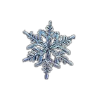 snowflake%203_edited.png