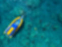 Ocean Rafting (1).JPG