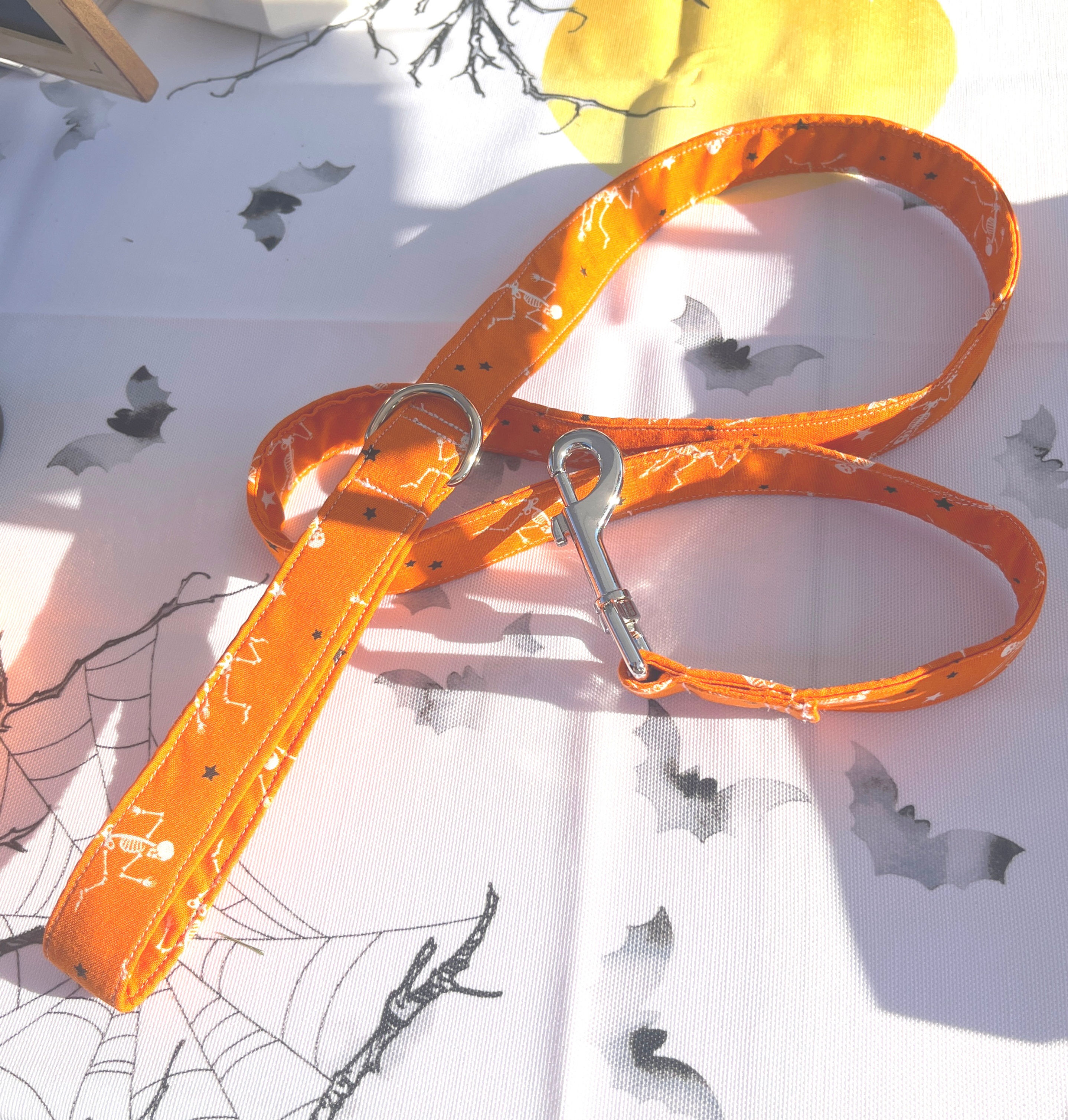 Halloween Skeleton Leash