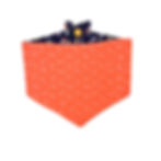 Thumbnail: Colorful Mushrooms