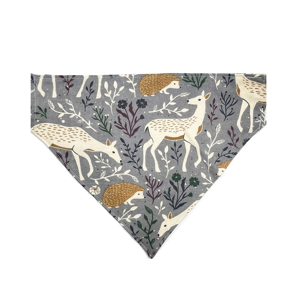 Thumbnail: Folk Woodland Creatures